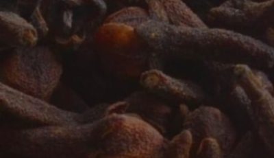 Flower Power: 8 Benefits of Cloves You Probably Didn’t Know About