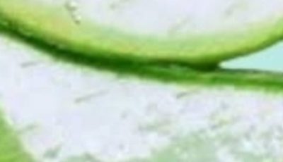 Aloe Vera with Cinnamon: The Home Remedy That Protects Your Health and Vision