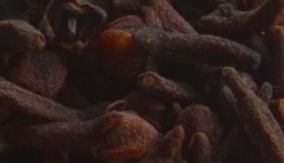 Flower Power: 8 Benefits of Cloves You Probably Didn’t Know About