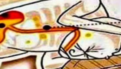 Best Sleeping Position for Acid Reflux and Heartburn