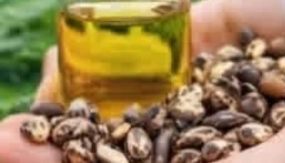 15 Incredible Benefits of Castor Leaves for Men and Women Over 30
