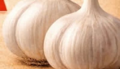 Benefits of Eating Garlic on an Empty Stomach: What May Happen to Your Body in Just 7 Days