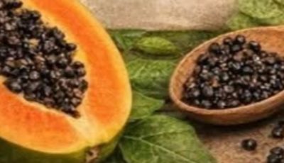Are Papaya Seeds a Natural Option to Support Joint Comfort?