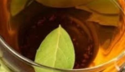 Bay Leaf Tea: Benefits and How to Prepare It