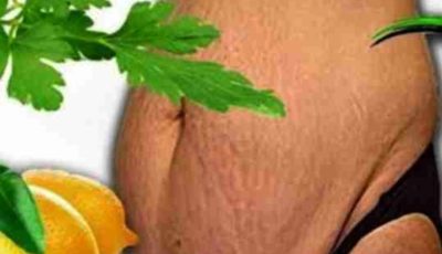 Search Results for: Transform Your Health with a Secret Mix of Parsley and Apple
