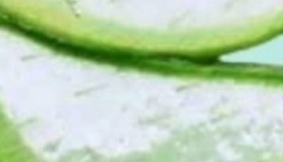 Aloe Vera with Cinnamon: The Home Remedy That Protects Your Health and Vision