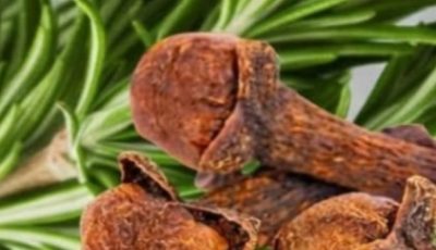 Rosemary and Cloves: A Powerful Natural Combination for Hair, Skin, Digestion, and Pain Relief