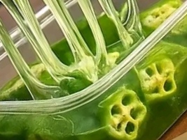 10 things to know about Okra