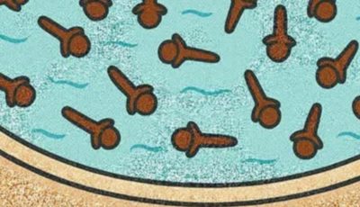 Clove Water Sitz Baths for Women: A Gentle Guide to Hygiene and Comfort