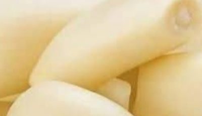 El Garlic: The Natural Antibiotic That Wages War on Infections
