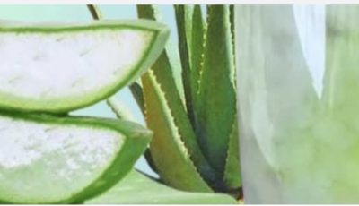 Aloe Vera with Cinnamon: The Home Remedy That Protects Your Health and Vision