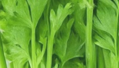 Celery-Lime Green Detox Juice