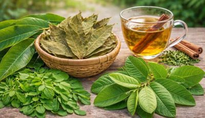 The 4 medicinal leaves that can support circulation and sugar control