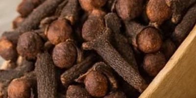 Discover the Daily Ritual: 15 Potential Benefits of Chewing Cloves for Overall Wellness and Health Support