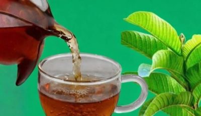 🌿 Natural Leaves That May Help Support Healthy Blood Sugar Levels