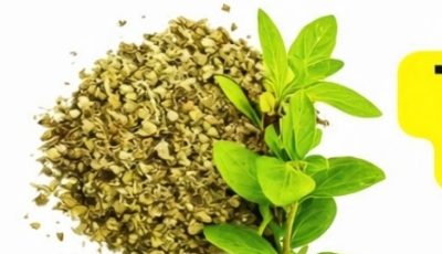 Oregano: Nature’s Most Powerful Herb and Its Health Benefits