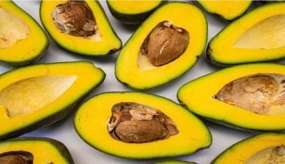Avocado seed tea: benefits and how to prepare it