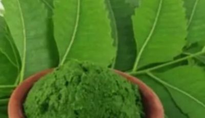 Discover the Power of the Leaf That Will Transform Your Health!