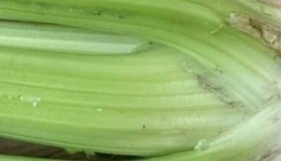 Unlocking the Power of Celery: A Supercharged Recipe for Liver Health