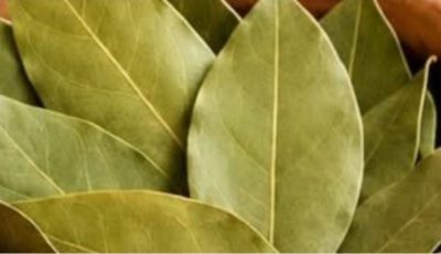 Bay leaves are 100,000 times more powerful than Botox. They eliminate wrinkles, even at age 70