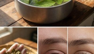 Blurry vision, or irritated or tired eyes? Many people are trying guava leaf tea to