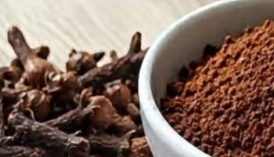 Cloves for Wellness? Benefits, Risks, and What to Know First