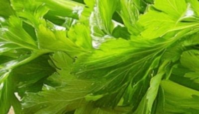 Cleanses the Liver 150 Times More Powerful Than Garlic and Lemon: Grandma’s Miracle Recipe