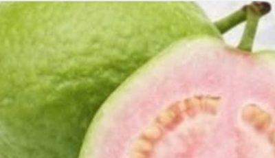 Guava Leaf Tea: Benefits, Properties, and How to Prepare It