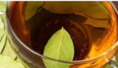 Bay Leaf Tea: Benefits and How to Prepare It