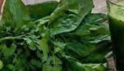 Gut-Friendly Green Drinks: The Daily Wellness Habit Supporting Digestion, Liver Health, and Healthy Aging