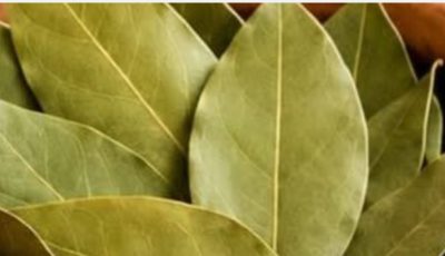 Bay leaves are 100,000 times more powerful than Botox. They eliminate wrinkles, even at age 70