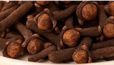 Chewing Cloves Daily: A Tiny Habit with Big Benefits for Your Body