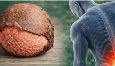 Avocado Seed: A Nutritional Treasure and Its Versatile Uses in the Kitchen